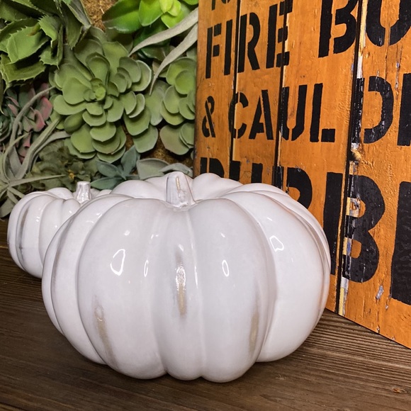 Crate&Barrel White Hand Glazed Ceramic Pumpkins - Set of Two - Medium and Small - Picture 4 of 16